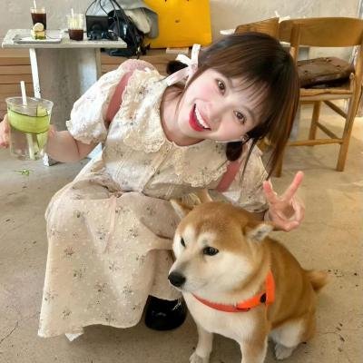 海棠依旧