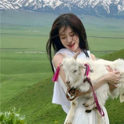 欲血威尼斯